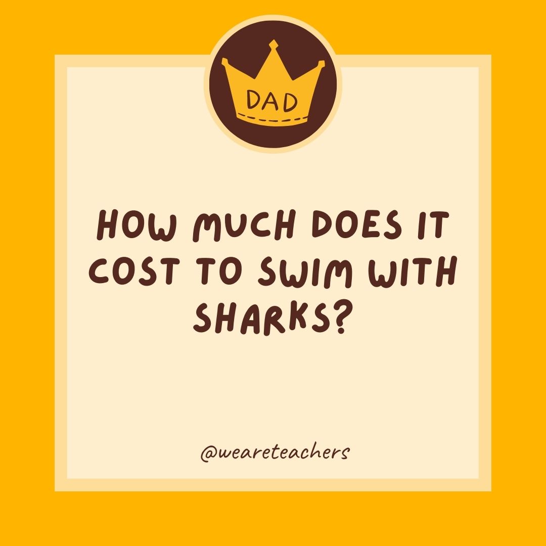 How much does it cost to swim with sharks?
- dad jokes for kids