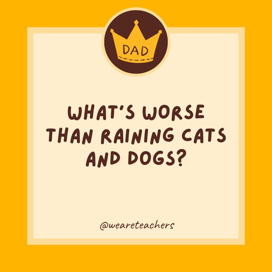 What's worse than raining cats and dogs?- dad jokes for kids