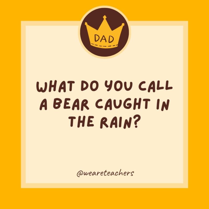 What do you call a bear caught in the rain?