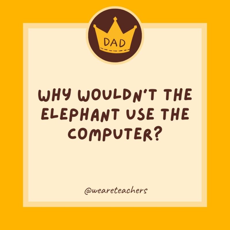Why wouldn't the elephant use the computer?