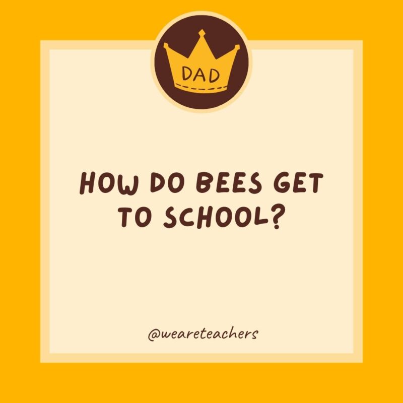 298. How do bees get to school?- dad jokes for kids