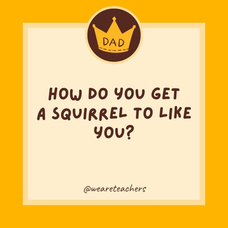 How do you get a squirrel to like you