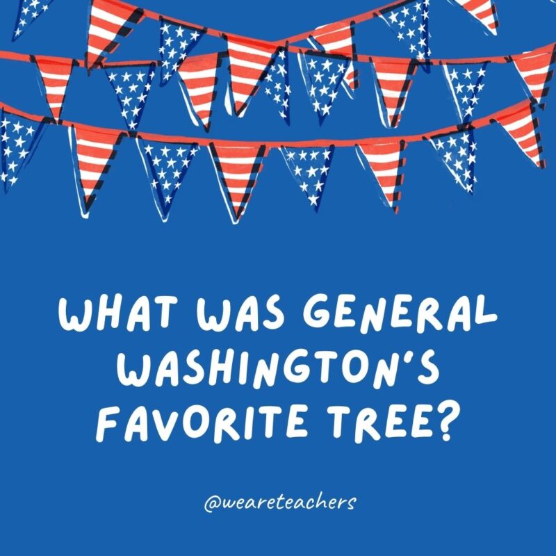 This example of 4th of July jokes says What was General Washington's favorite tree?
