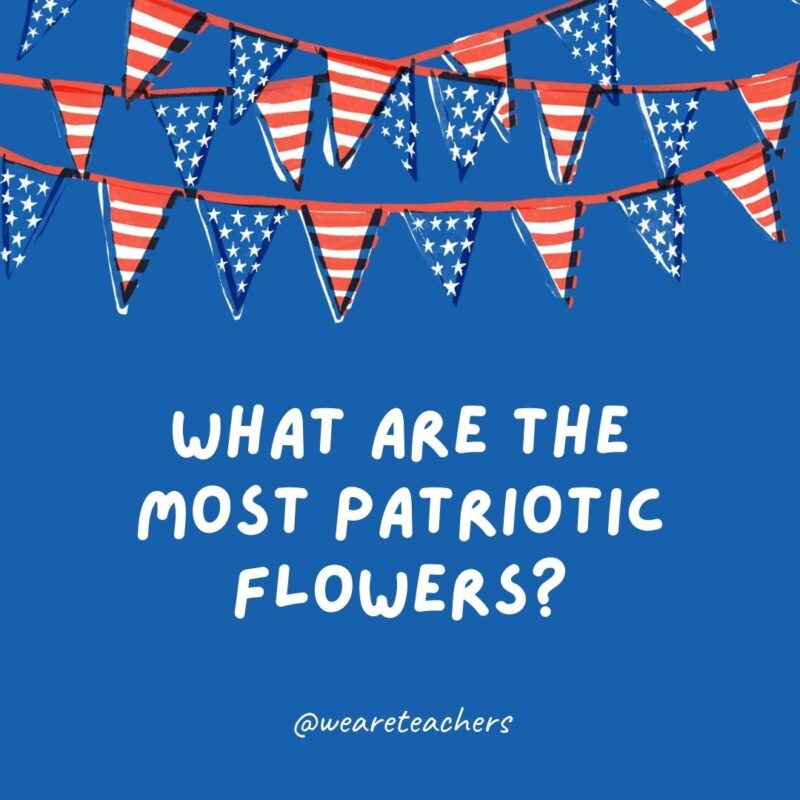 This example of 4th of July jokes says What are the most patriotic flowers?