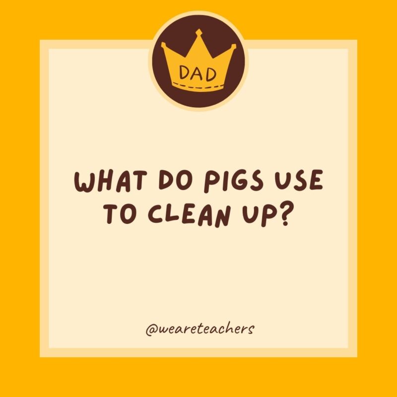 What do pigs use to clean up? Hogwash.- dad jokes for kids