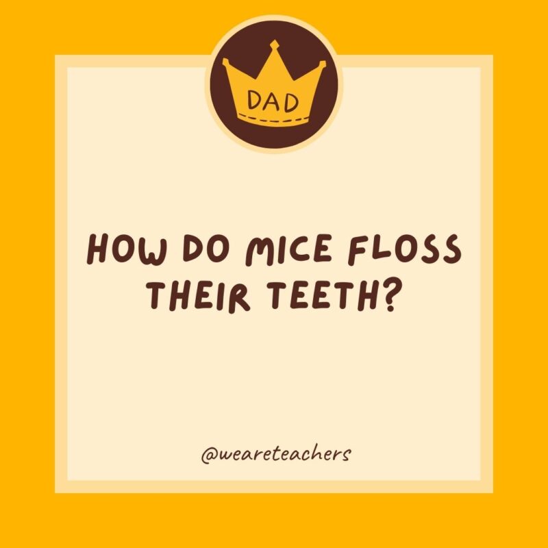 How do mice floss their teeth? With string cheese.- dad jokes for kids