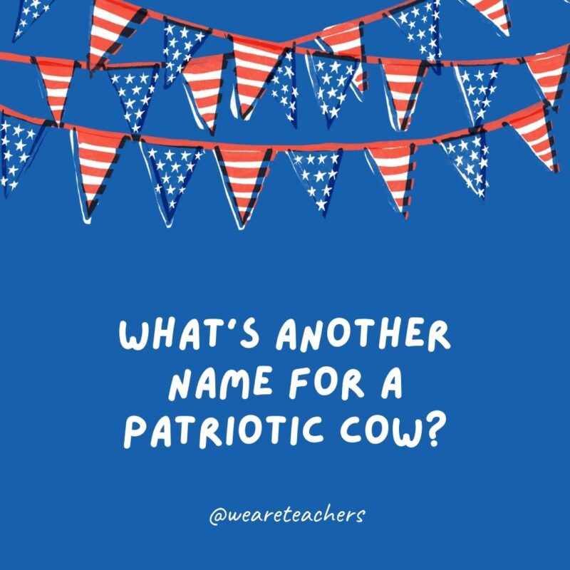 What's another name for a patriotic cow?