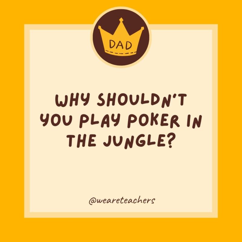 Why shouldn't you play poker in the jungle? Too many cheetahs.