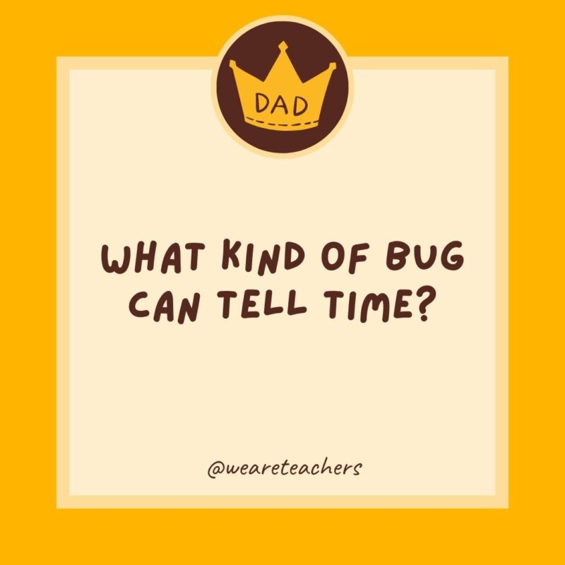 What kind of bug can tell time? A clock-roach.