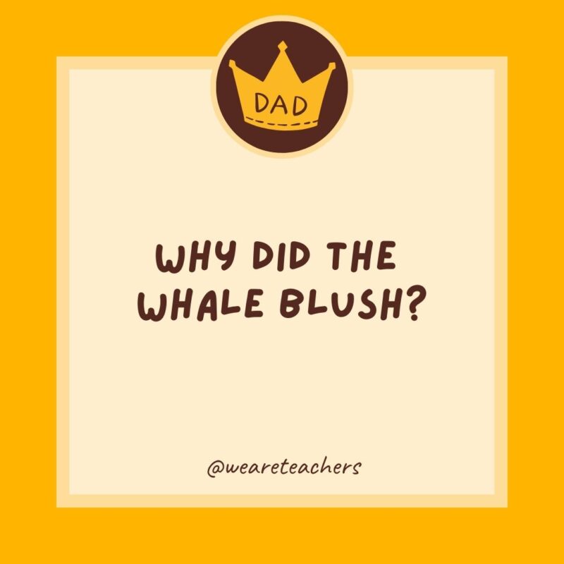 Why did the whale blush? It saw the ocean’s bottom.