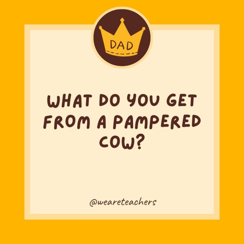 What do you get from a pampered cow? Spoiled milk.