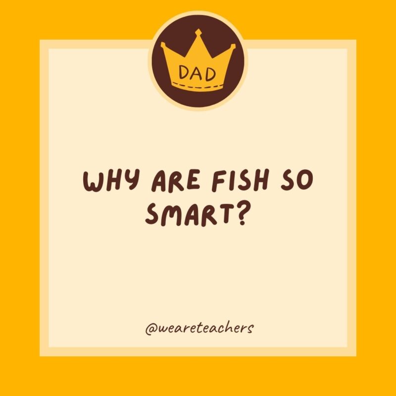 Why are fish so smart? Because they swim in schools.