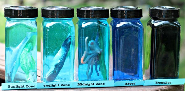 5 bottles with different shades of water in them and containing different sea life are shown.