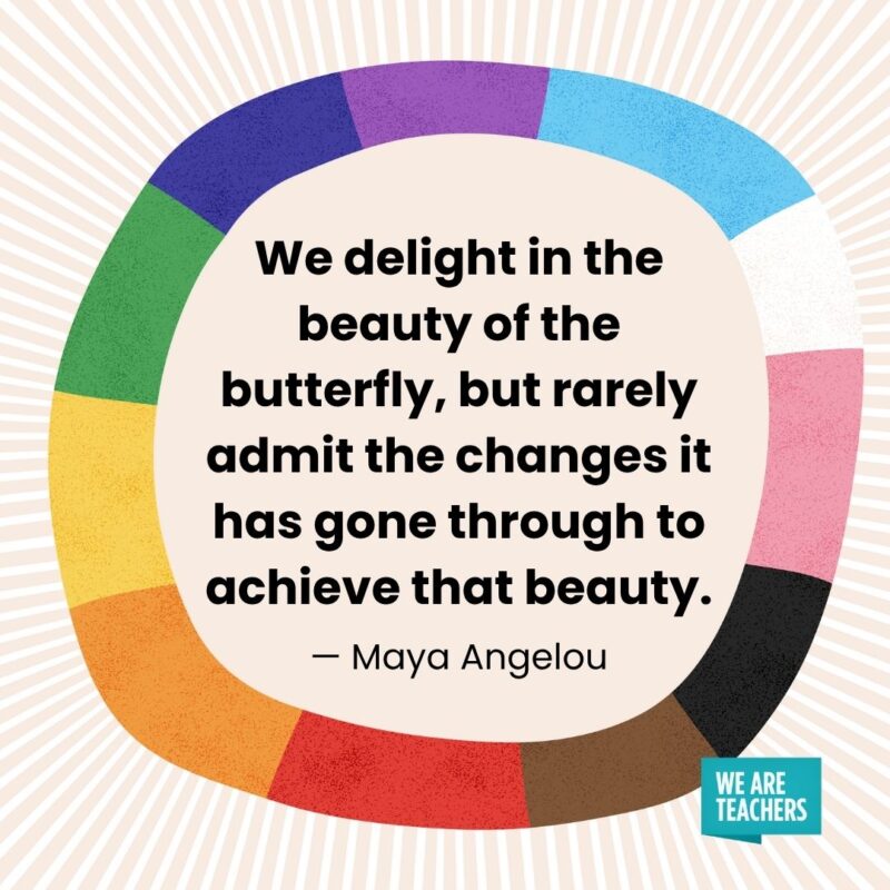 We delight in the beauty of the butterfly, but rarely admit the changes it has gone through to achieve that beauty. — Maya Angelou