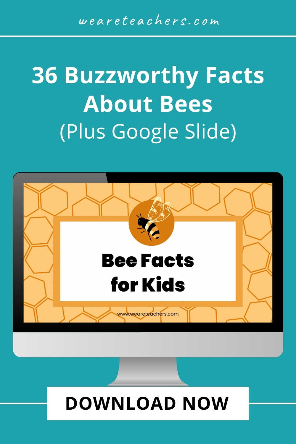 Buzz, buzz! Have you ever wanted to know more about bees? These buzzworthy facts about bees will give you a new perspective on them.