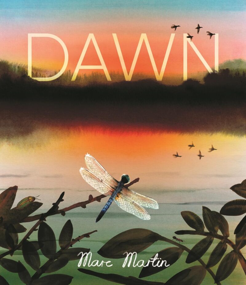 Dawn Dawn book cover