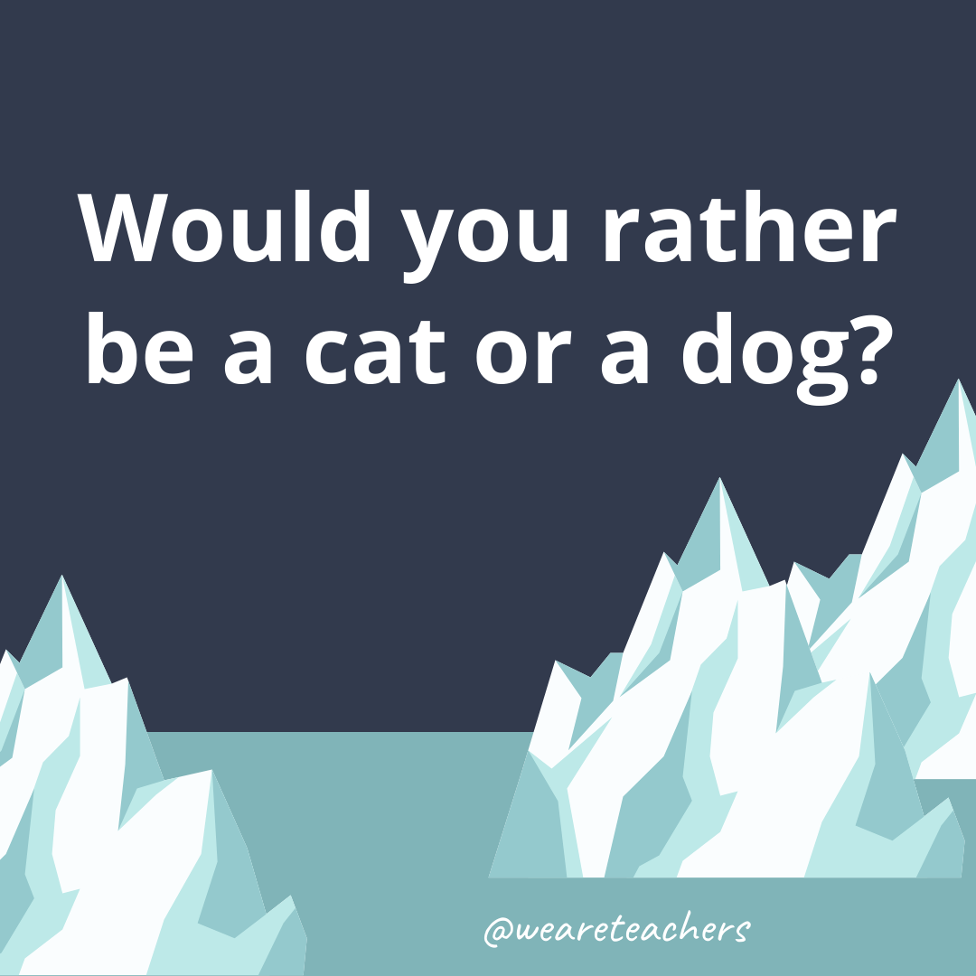 Be a cat or a dog?- fun icebreaker questions- ice breaker questions for teens