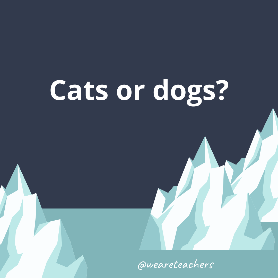 Cats or dogs?- ice breaker questions for teens