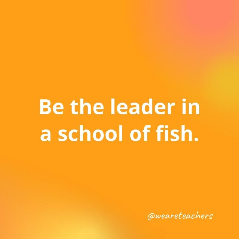 45 of Our All-Time Favorite Teacher Quotes Be the leader in a school of fish.- inspirational quotes for teachers