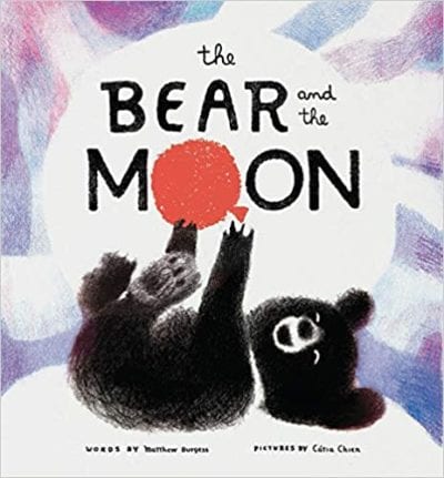 the bear and the moon Book cover for The Bear and the Moon by Matthew Burgess as an example of kindergarten books
