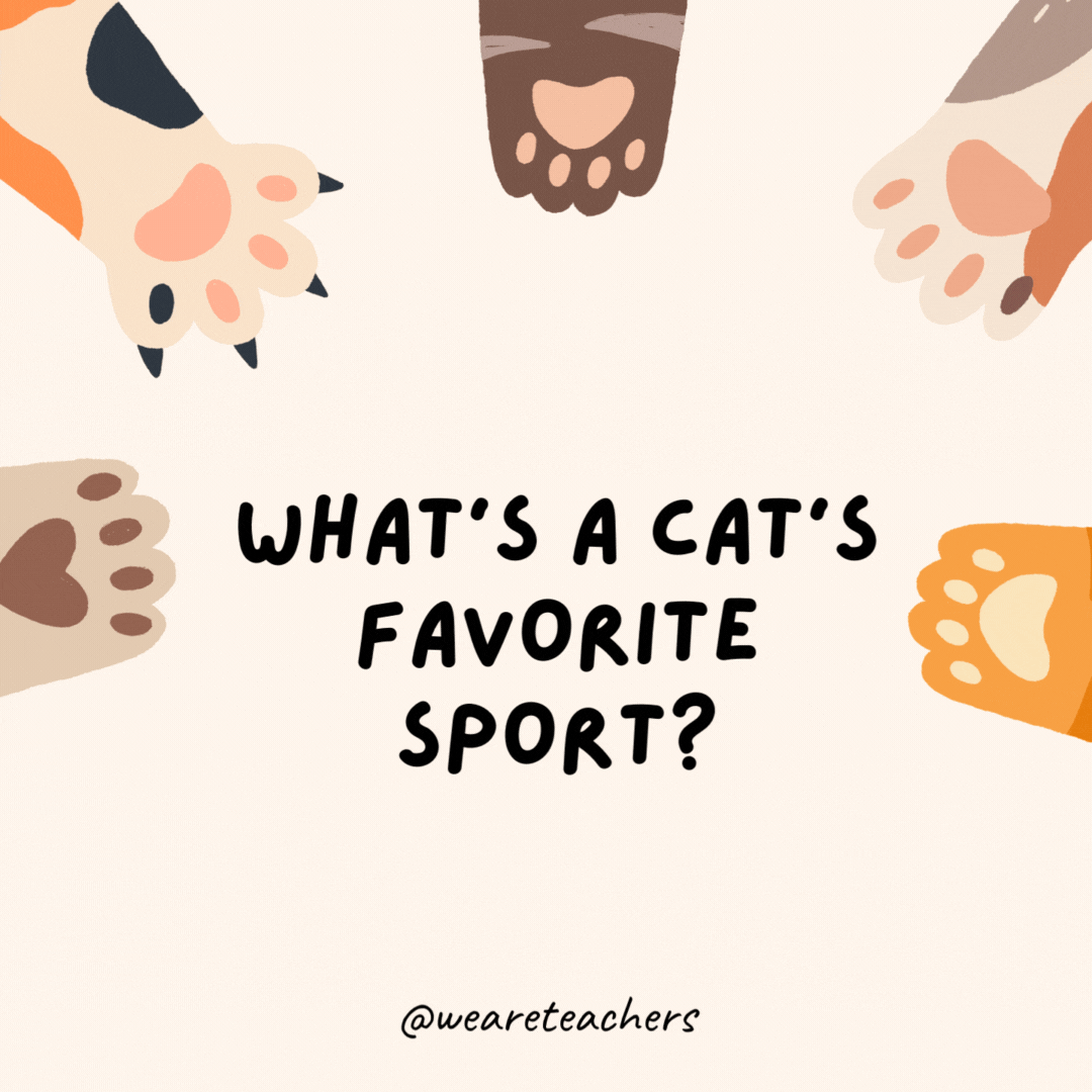 34 Hiss-terical Cat Jokes for Kids What's a cat's favorite sport?- educational brain breaks- joke lists