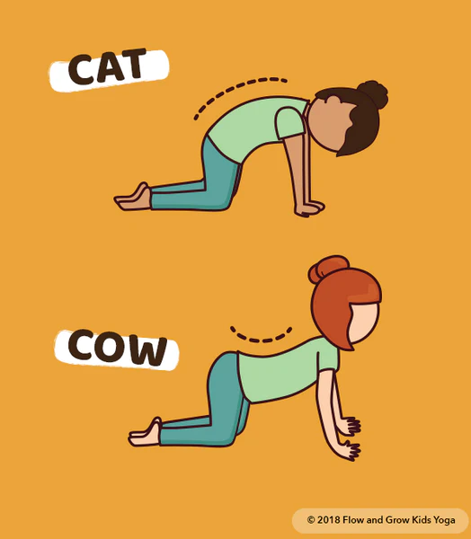 Cat Cow Pose Illustration of kids doing cat/cow pose yoga- educational brain breaks