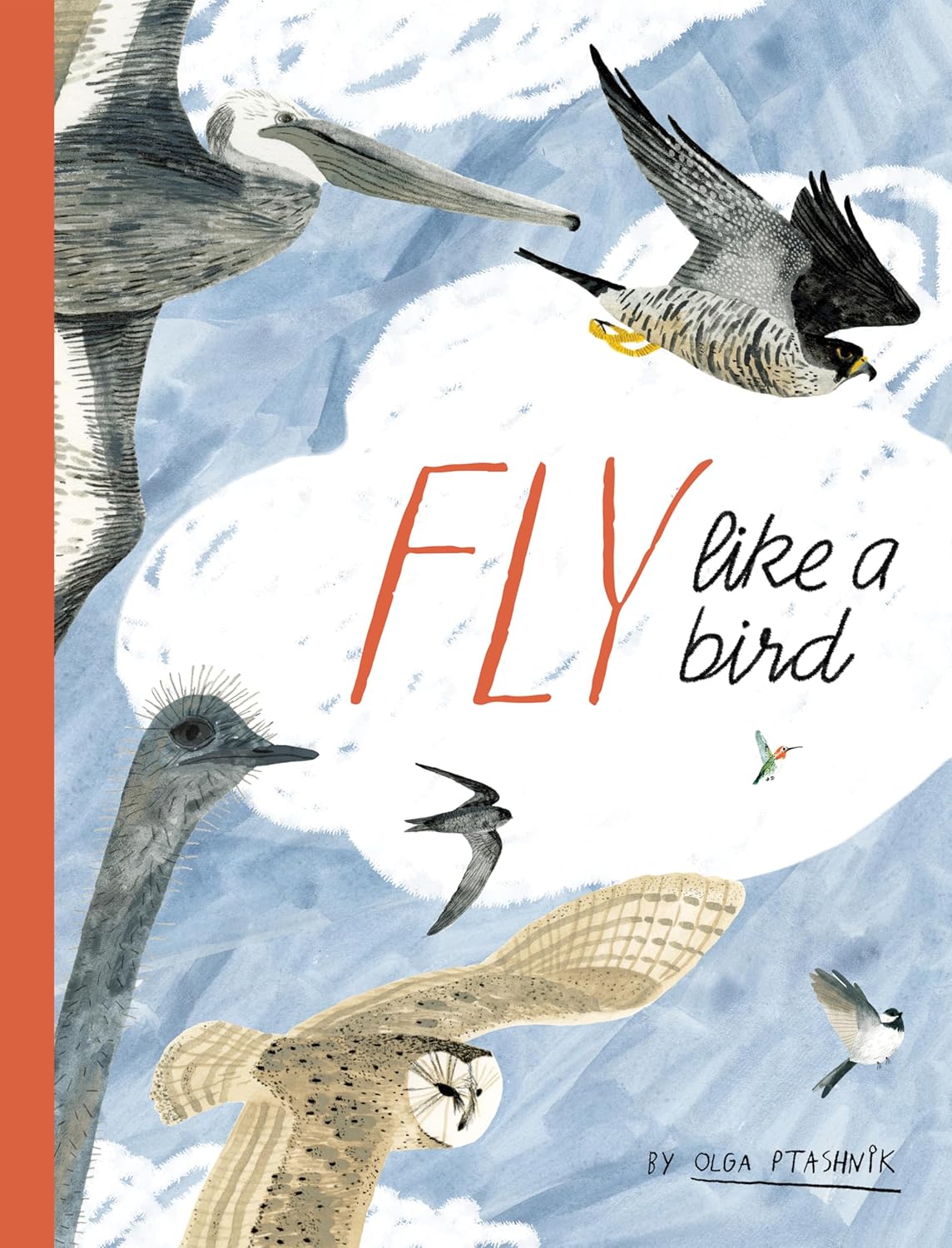 Fly Like a Bird book cover