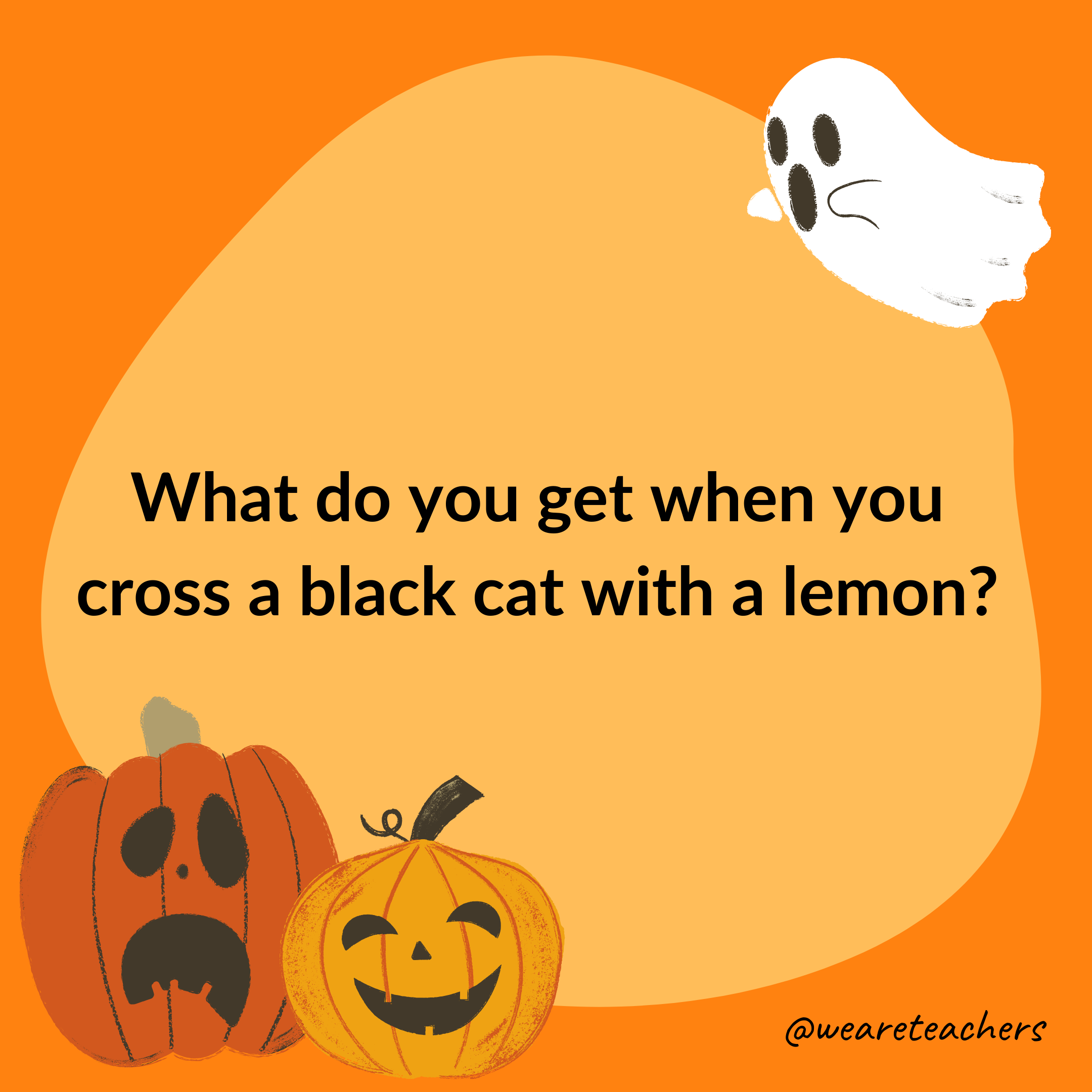 What do you get when you cross a black cat with a lemon?- halloween jokes for kids