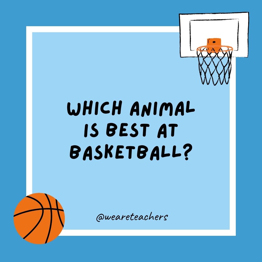 basketball jokes basketball jokes example