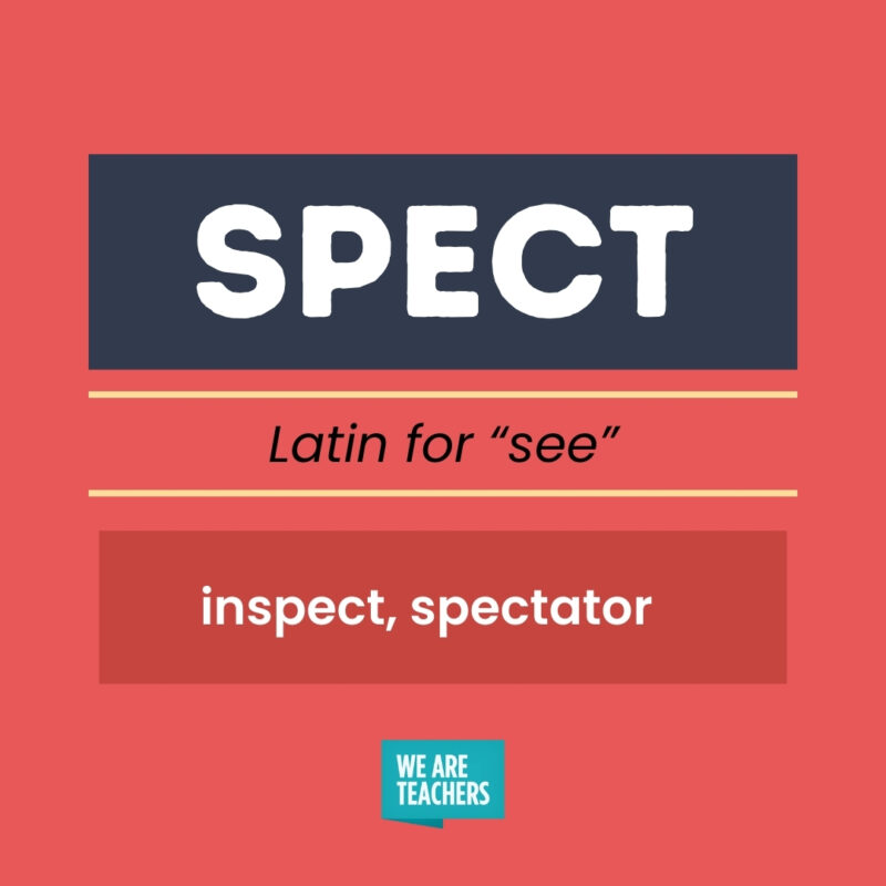 SPECT, Latin for see