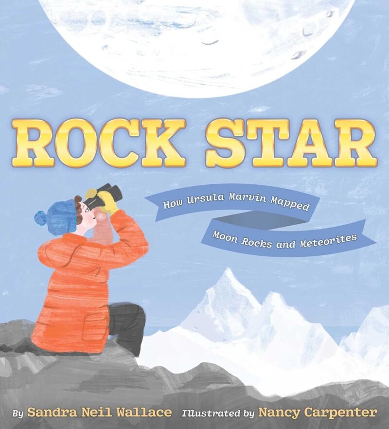 Rock Star book cover
