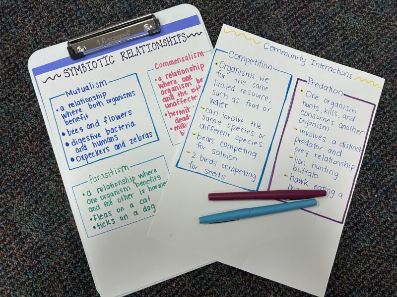 Boxing Note Taking Methods two examples of the boxing note taking strategy for students
