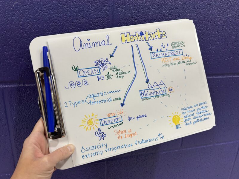 Sketchnotes Strategy student example of how they used sketchnotes to take notes about animal habitats