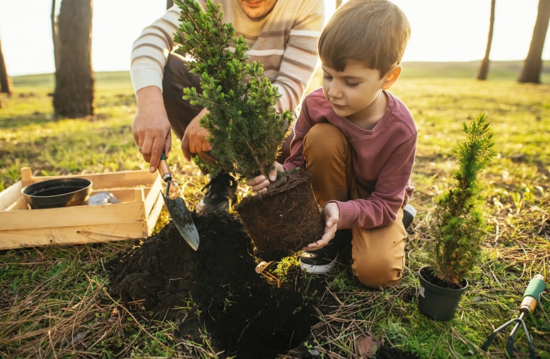 Service Learning Projects: Plant Trees Photograph of child and adult planting a small tree as a service learning project