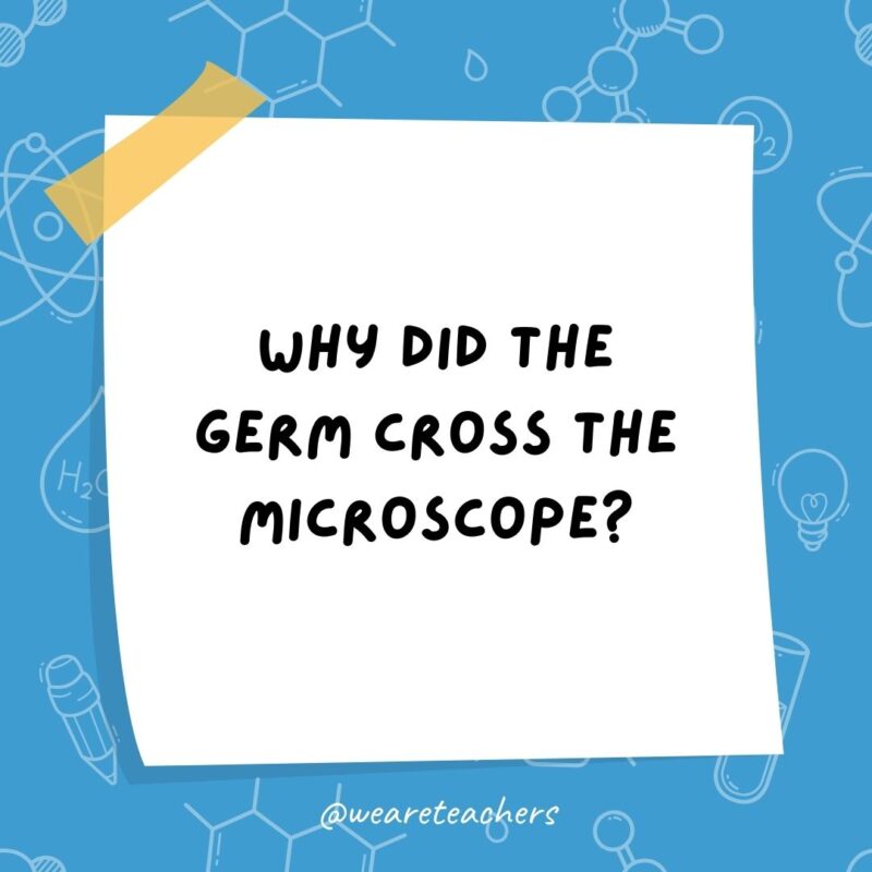 Science jokes: Why did the germ cross the microscope? To get to the other slide. Science jokes: Why did the germ cross the microscope? To get to the other slide.