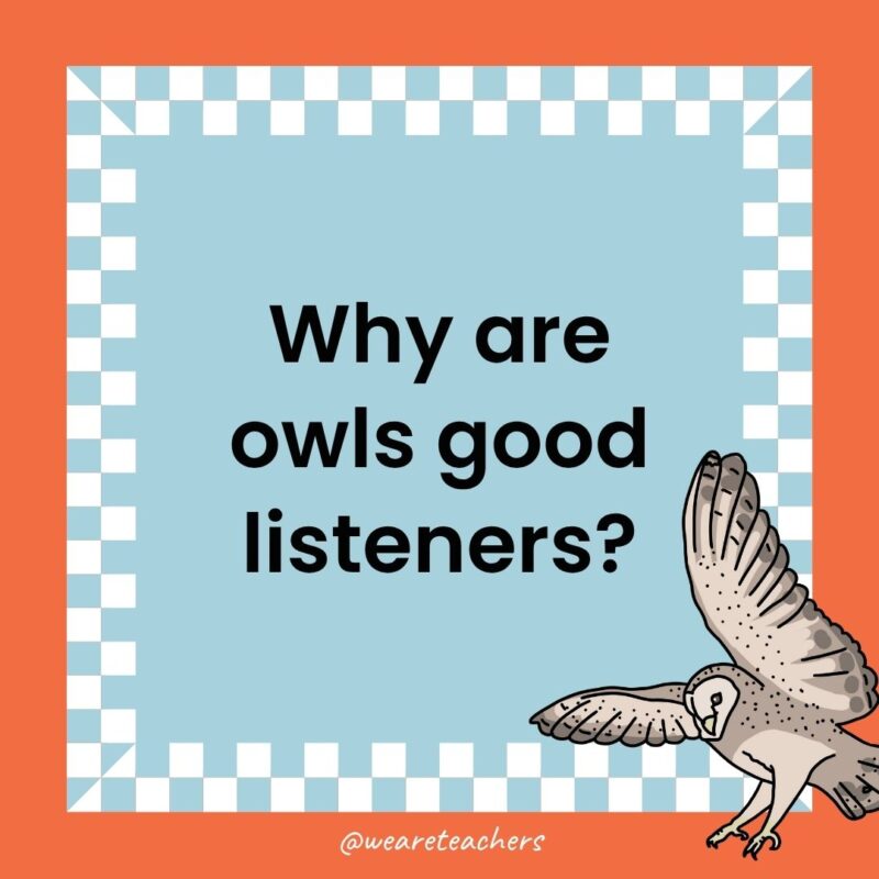 a joke that states: Why are owls good listeners?