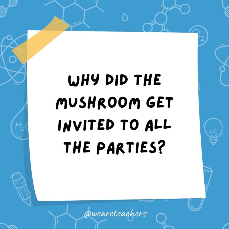 Why did the mushroom get invited to all the parties? Why did the mushroom get invited to all the parties?