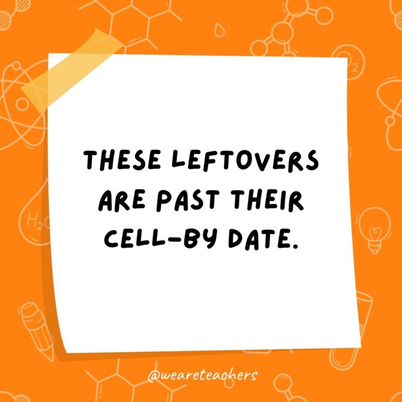 These leftovers are past their cell-by date. These leftovers are past their cell-by date.