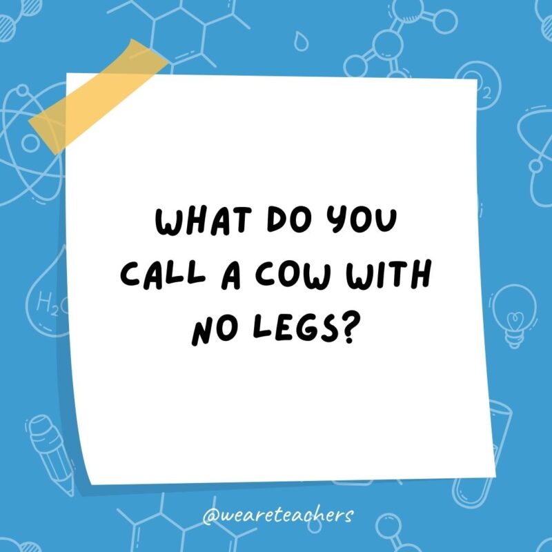 What do you call a cow with no legs? What do you call a cow with no legs?