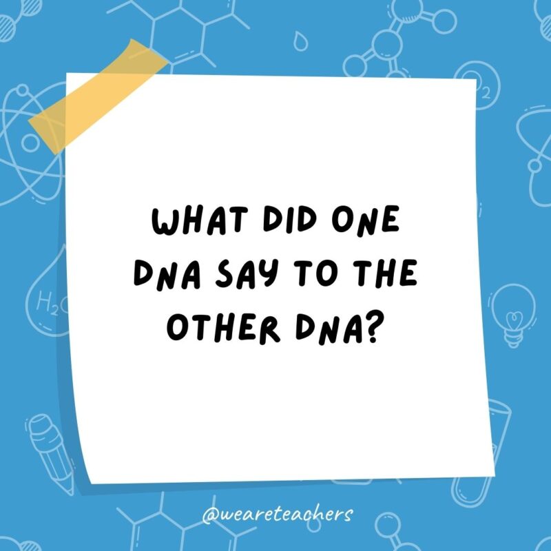 What did one DNA say to the other DNA? What did one DNA say to the other DNA?
