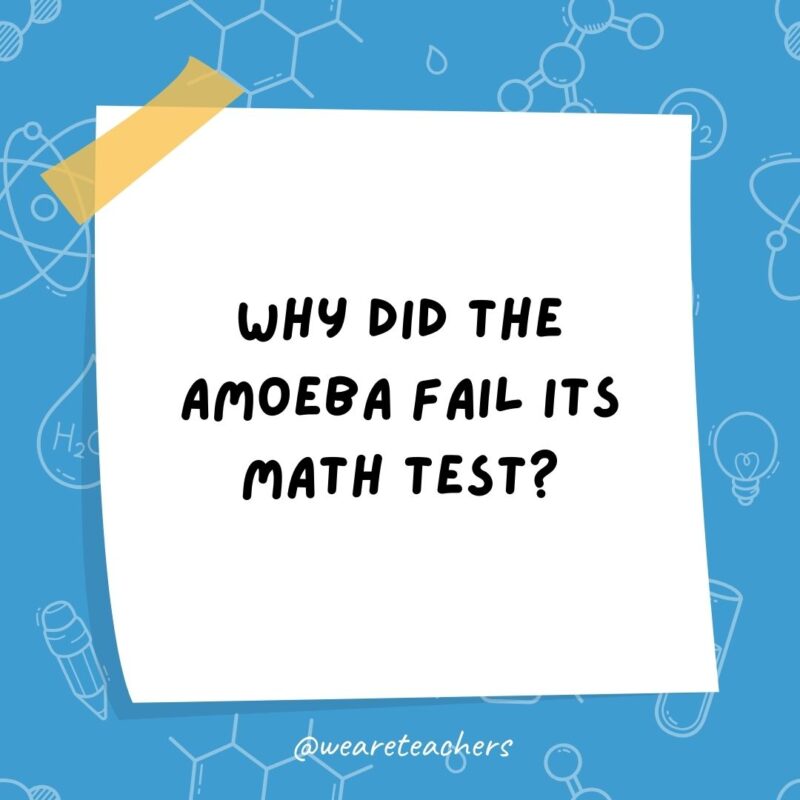 Why did the amoeba fail its math test? Why did the amoeba fail its math test?