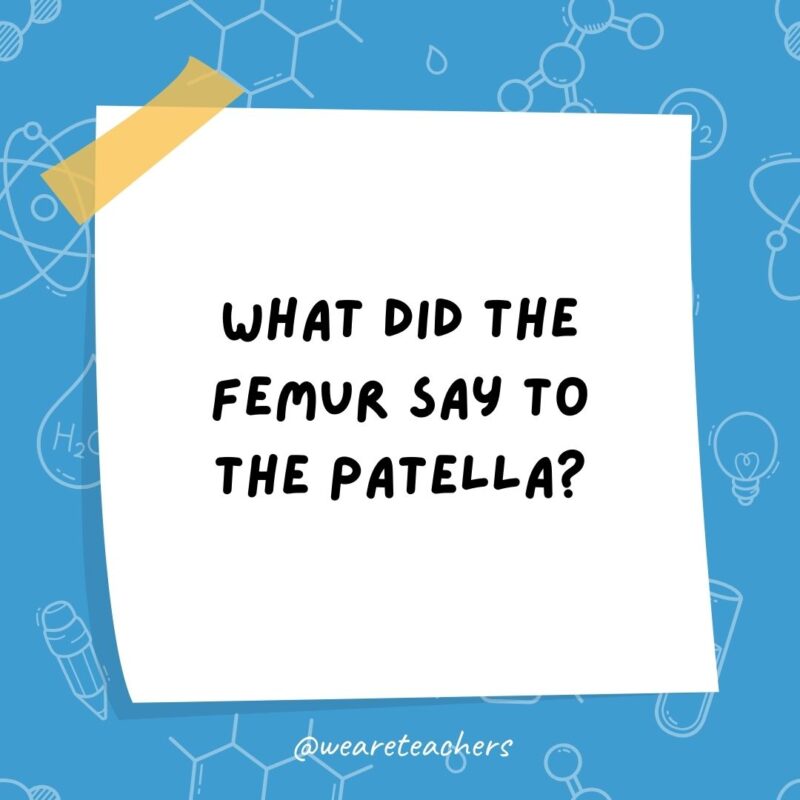 What did the femur say to the patella? What did the femur say to the patella?