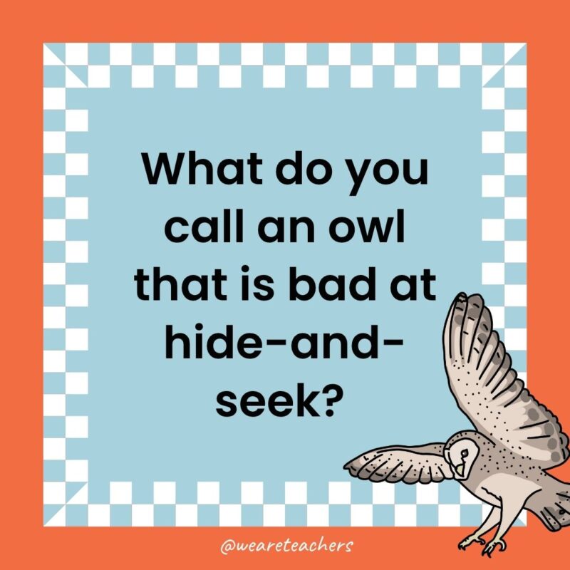 a joke that states: What do you call an owl that is bad at hide-and-seek? 