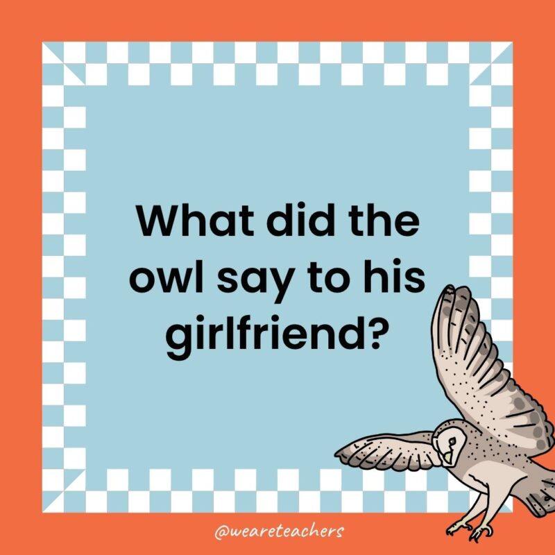 a joke that states: What did the owl say to his girlfriend?