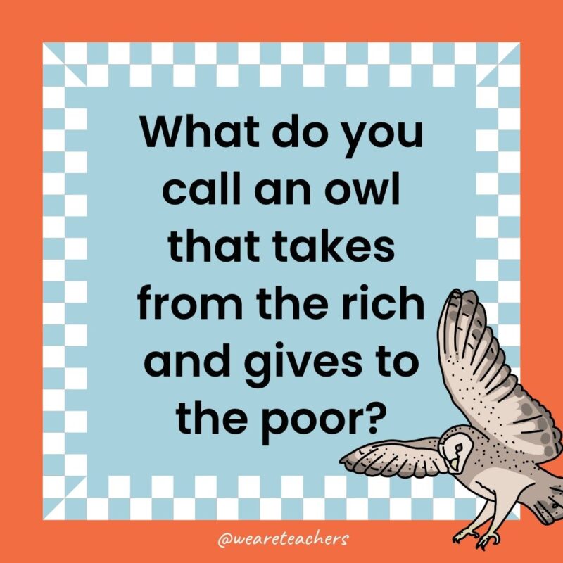 a joke that states: What do you call an owl that takes from the rich and gives to the poor?