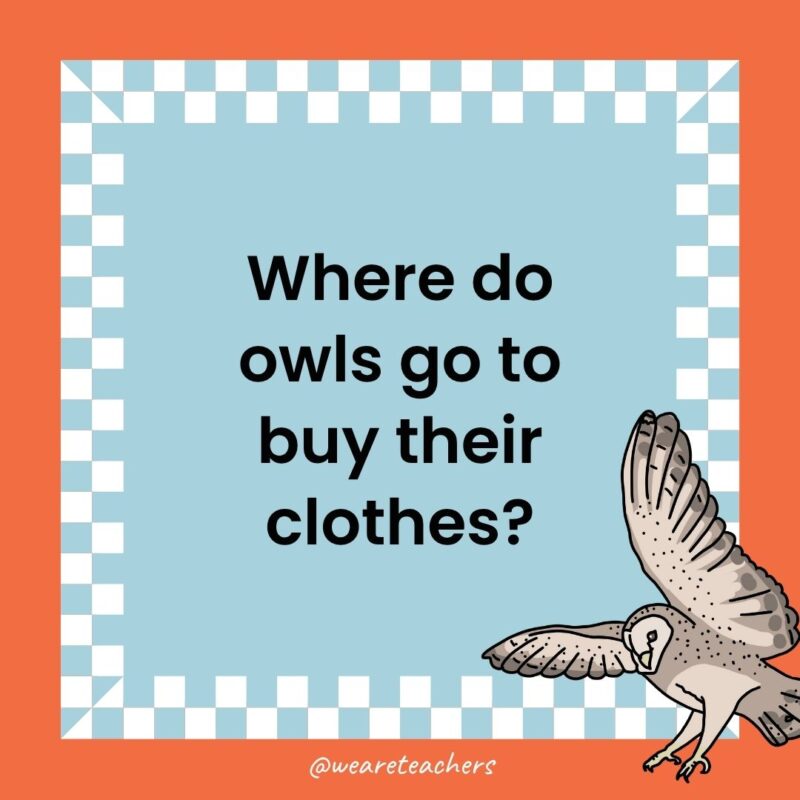 a joke that states: Where do owls go to buy their clothes?