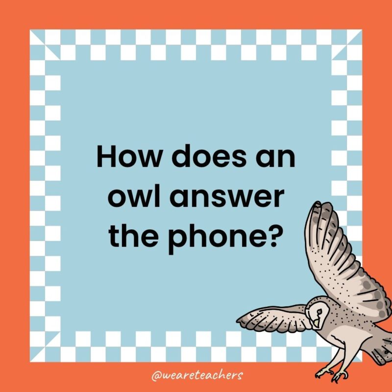 a joke that states: How does an owl answer the phone?