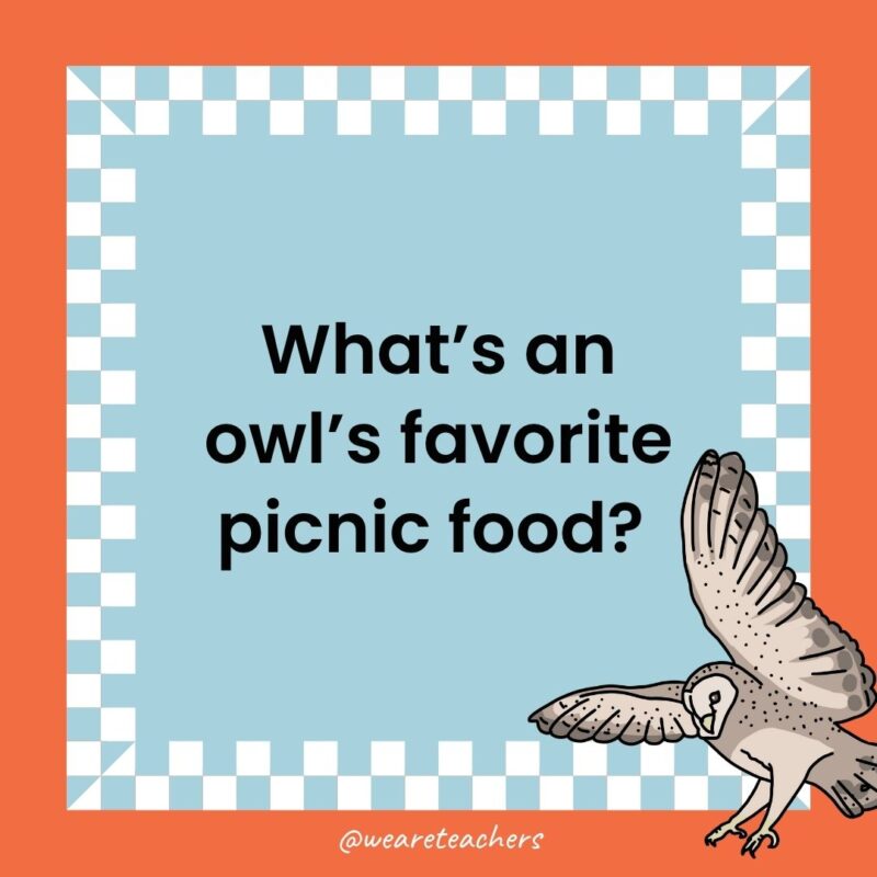 a joke that states: What’s an owl’s favorite picnic food? 