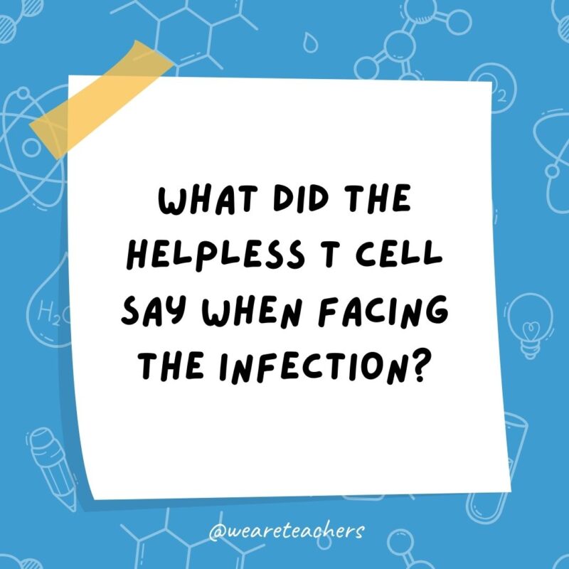 What did the helpless T cell say when facing the infection? Is there antibody out there? What did the helpless T cell say when facing the infection? Is there antibody out there?