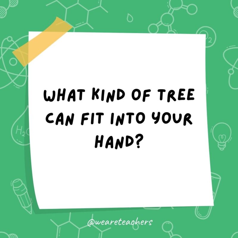 What kind of tree can fit into your hand? A palm tree. What kind of tree can fit into your hand? A palm tree.